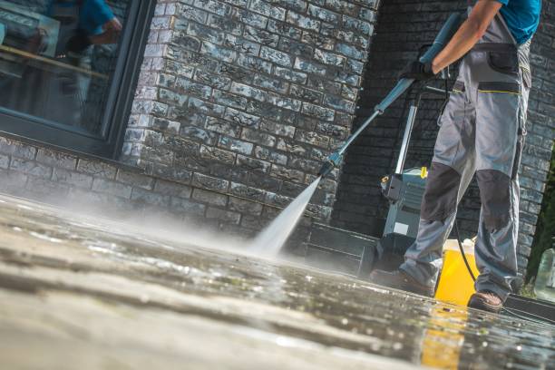 Best Roof Cleaning and Mildew Removal in Barre, VT
